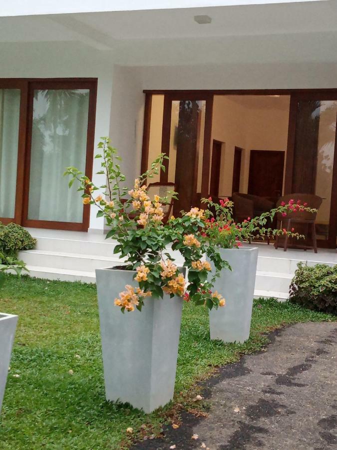 Colibri Villa Maggona Exteriör bild