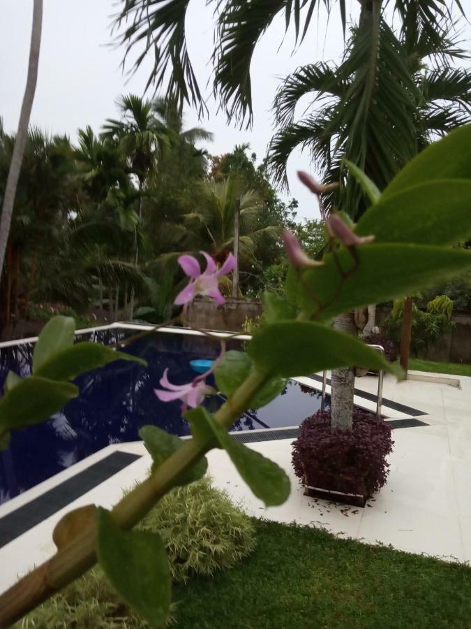 Colibri Villa Maggona Exteriör bild